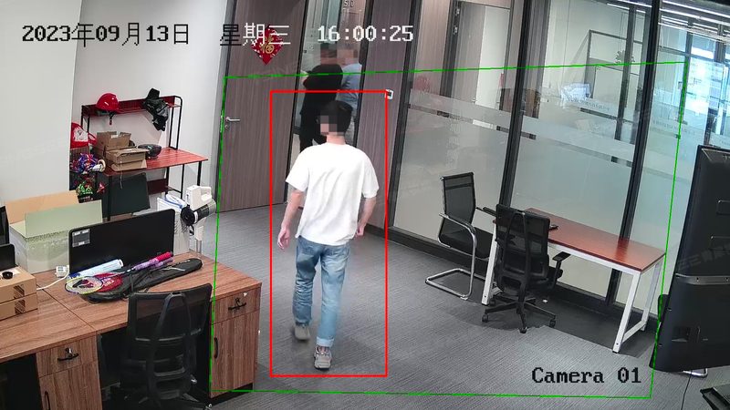 监控维保厂家直销的利与弊：揭秘背后的真相**